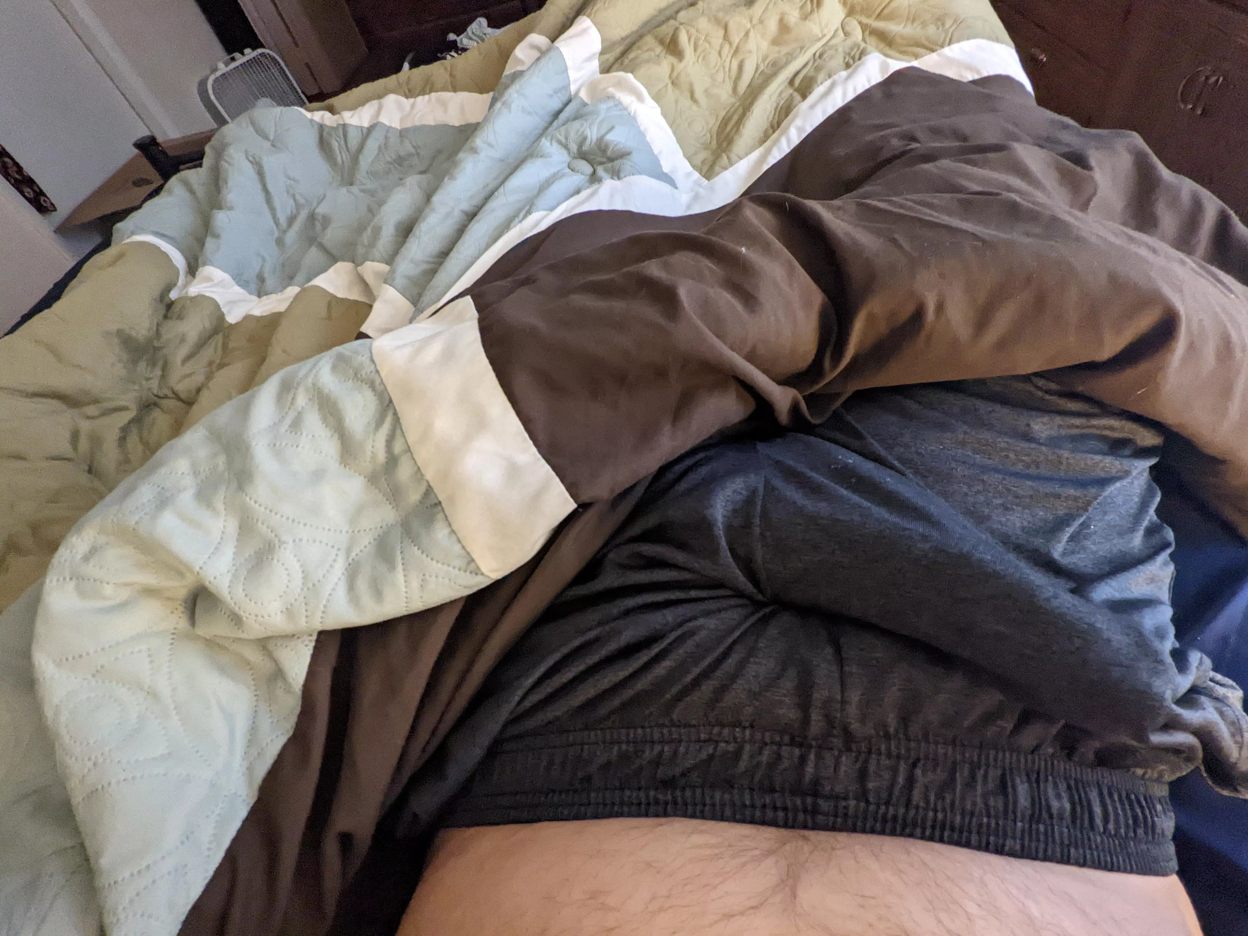 Nibble my shaft up and down