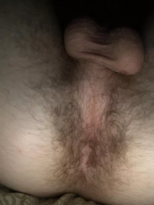 This hairy ass needs filling