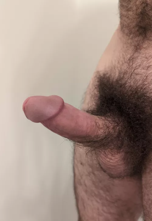 This is what I'm packing 