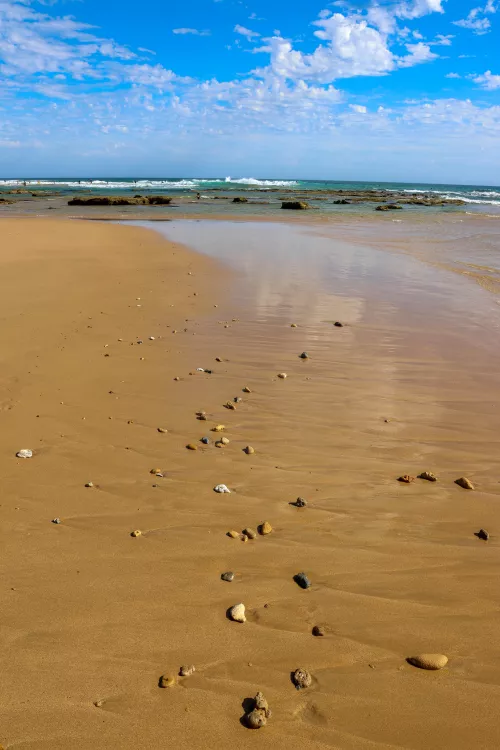 Washed up sea stones 