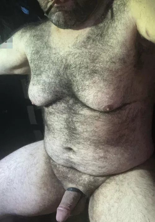 (40) Who needs a Daddy Bear in their life?