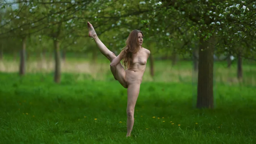 Bird of Paradise 🦜🌳🐛🐞🦋🌞🐌