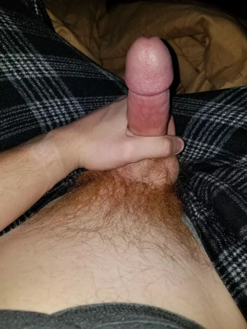 I love how deep red my pubes look here