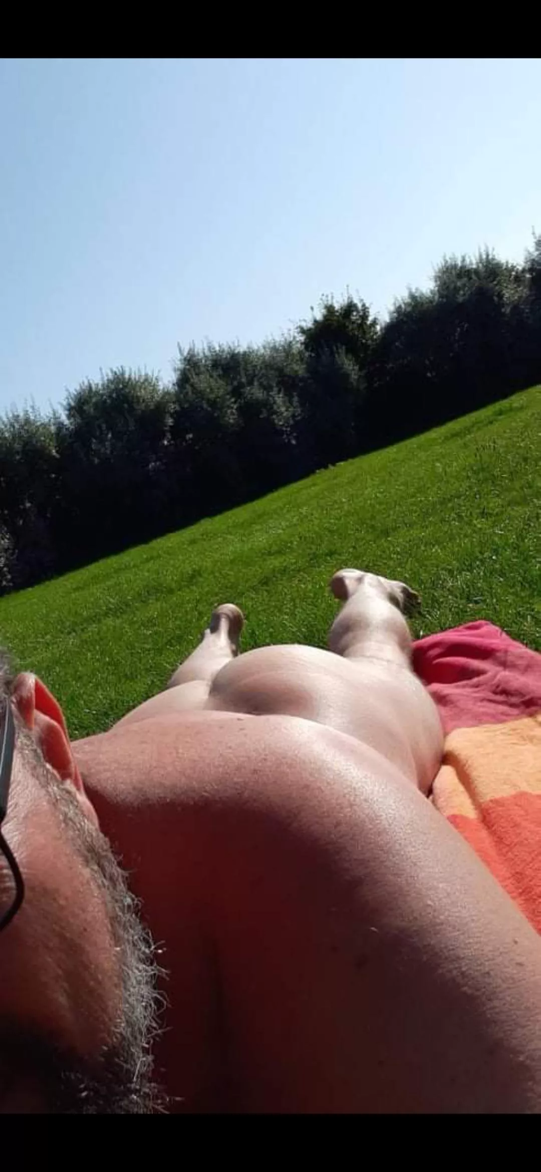 Loving this nude beach in Sweden.