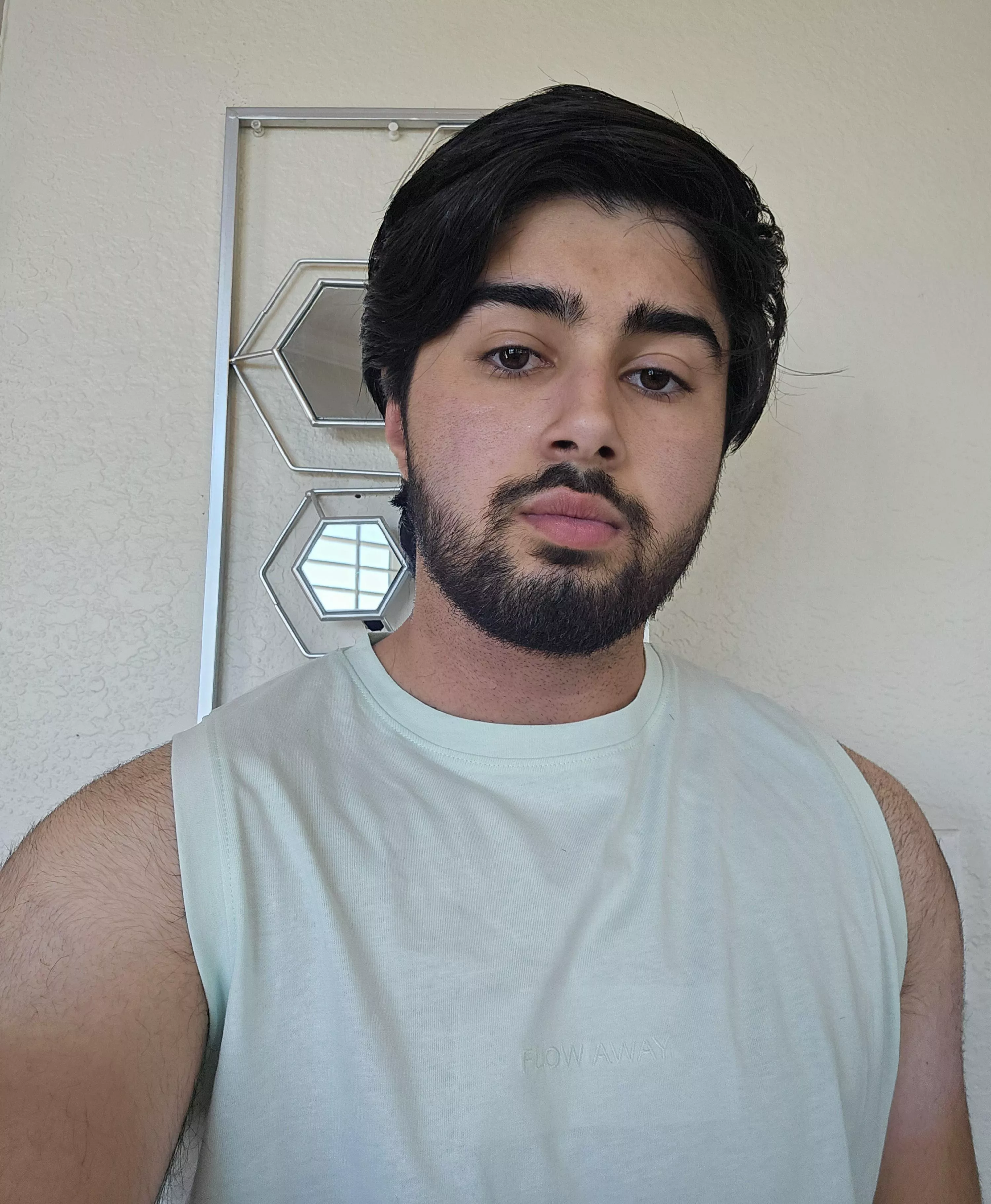Persian transguy here, wanna chat?