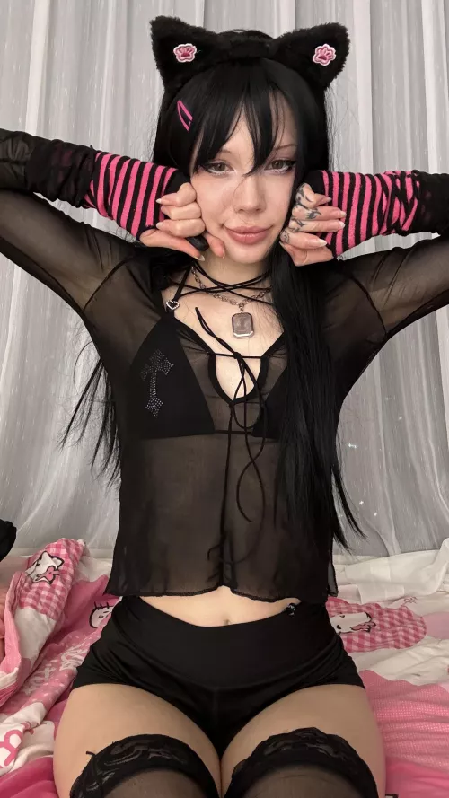 the cat really wants to get milk