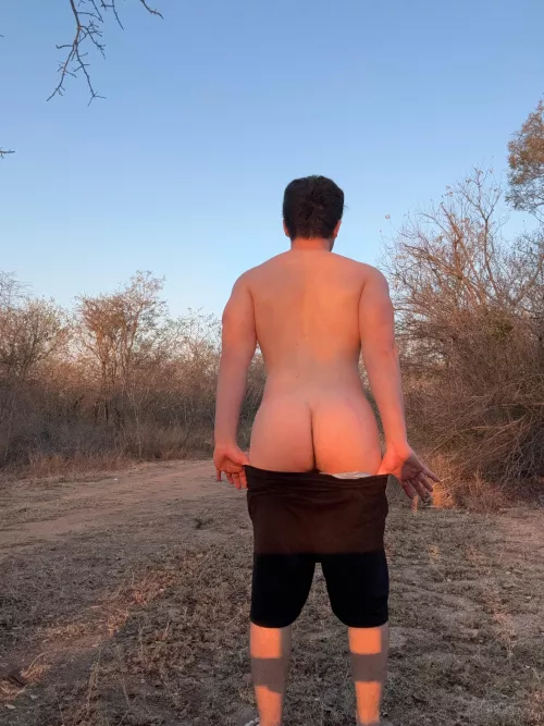 What would you rate my ass?
