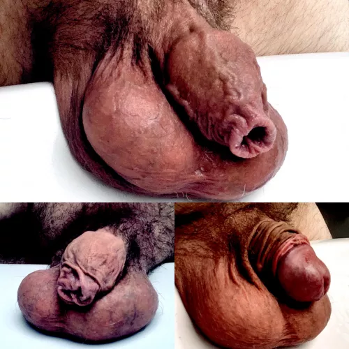 Who wants to suckle on Daddy's long foreskin?