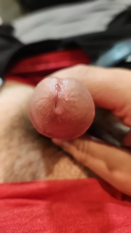 (18) needing help finishing