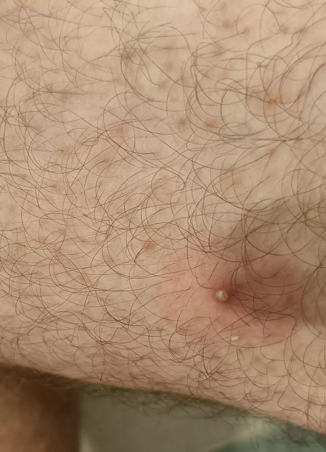 Found this pleasant surprise 