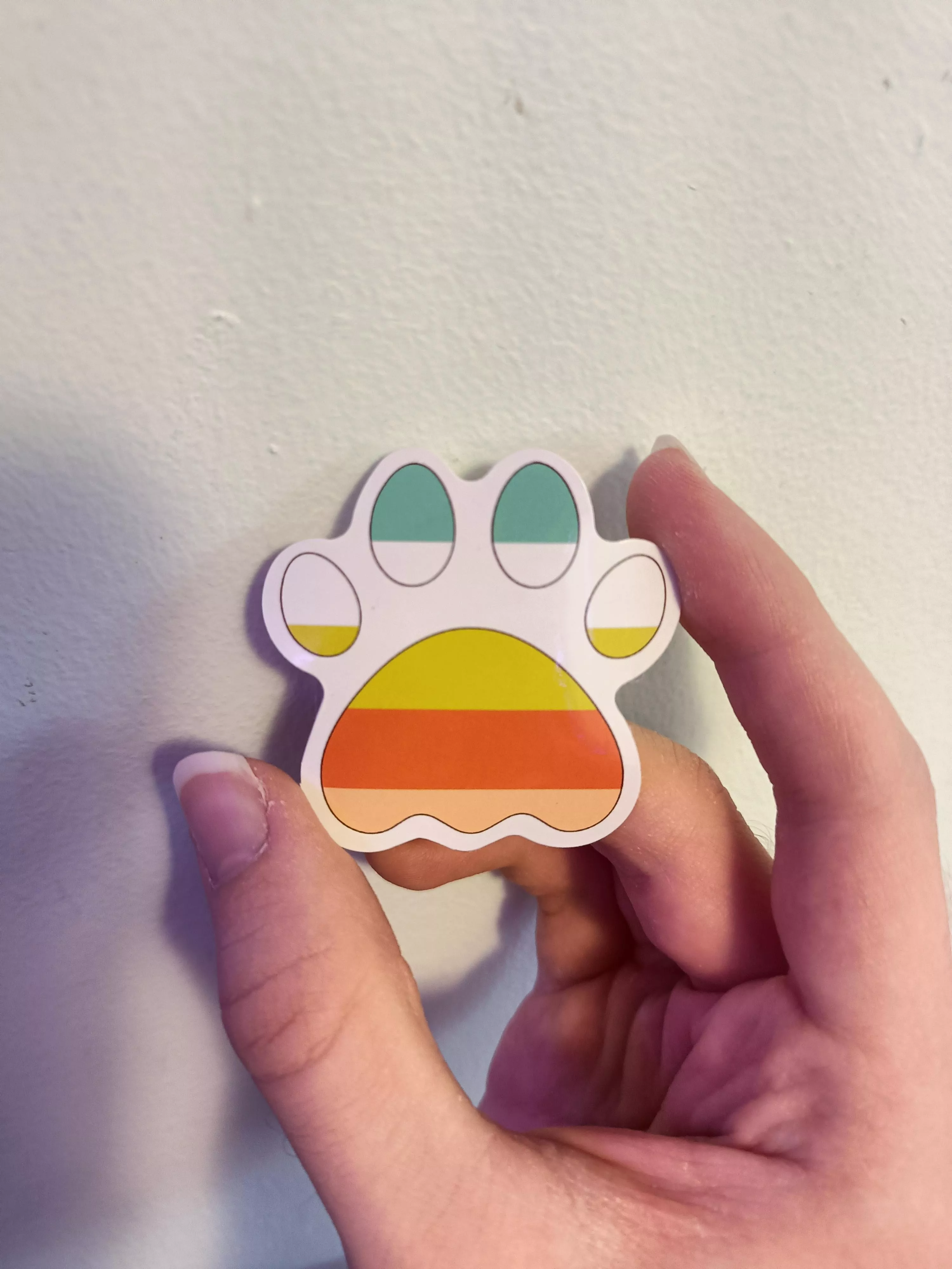 I got this sticker at AWU a couple days ago, I assume it's some pride flag but don't know what, anybody maybe know?