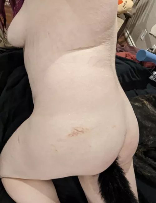 I'd love to curl up in someone's lap! 😻