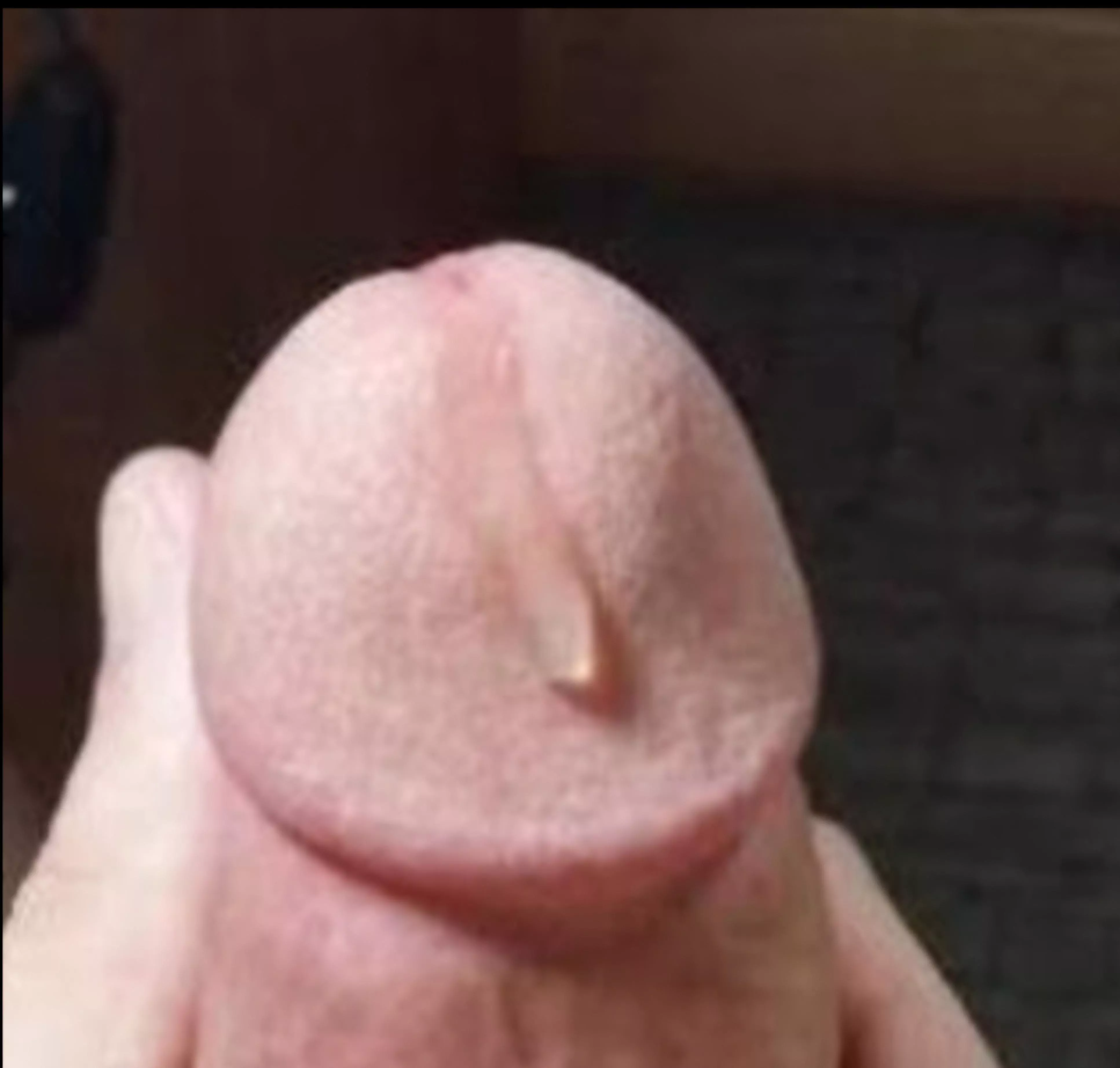 Just a little tear drop from my eye. 56 Qld 