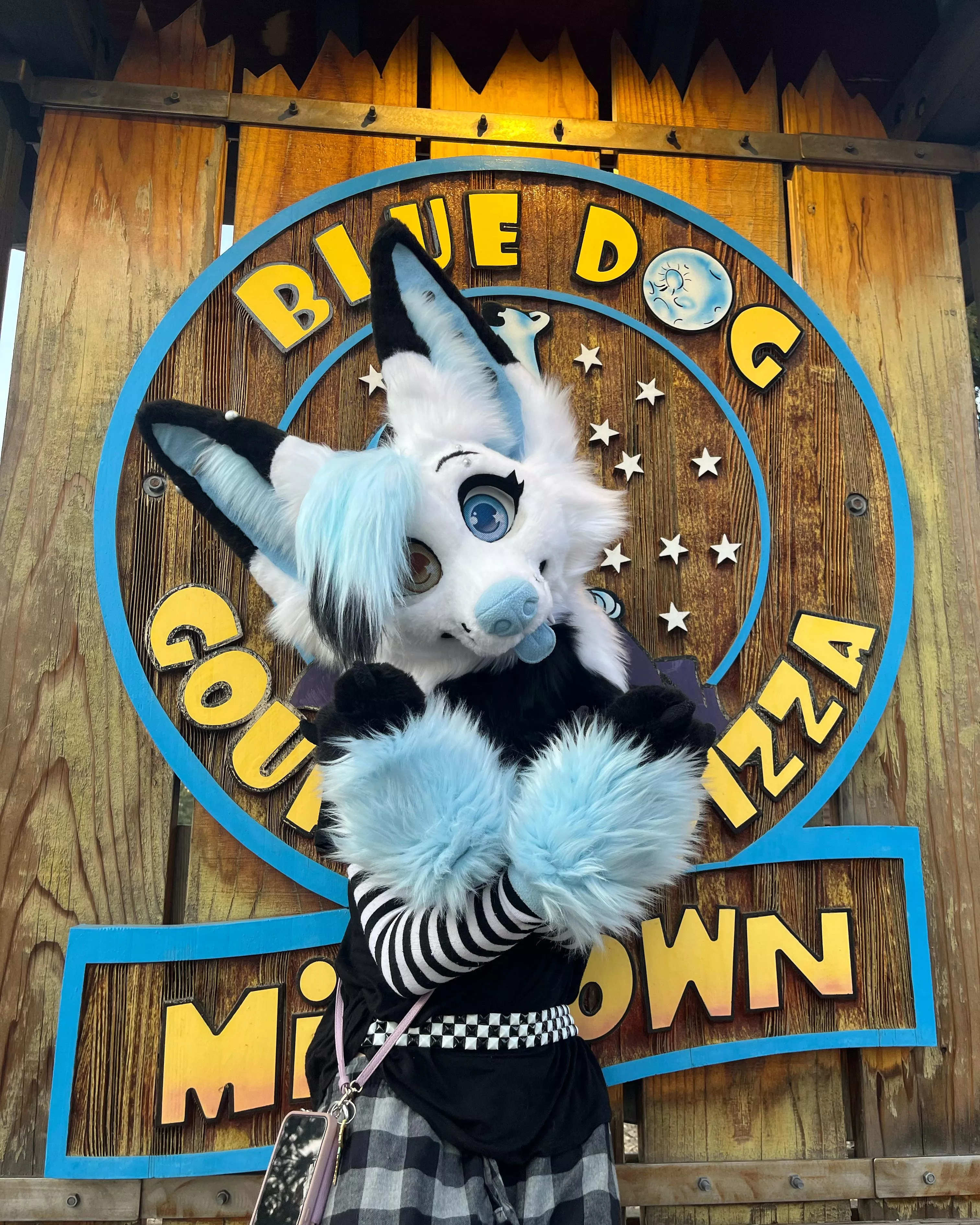 Opened my own Pizza place! (just kidding I’m a dog I can’t cook)