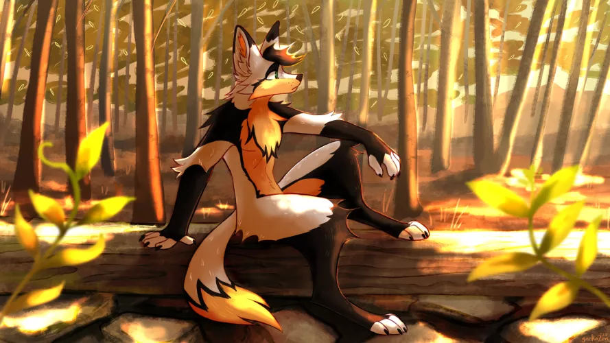 Sunset forest (art by geckoZen)