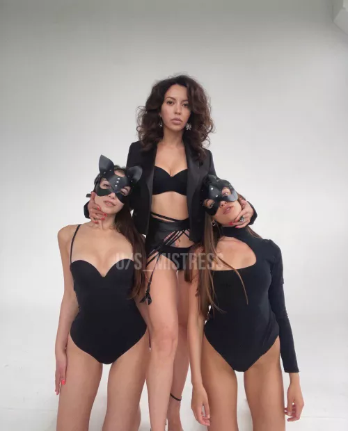 What could be better than one obedient kitty? Two obedient kitties! 