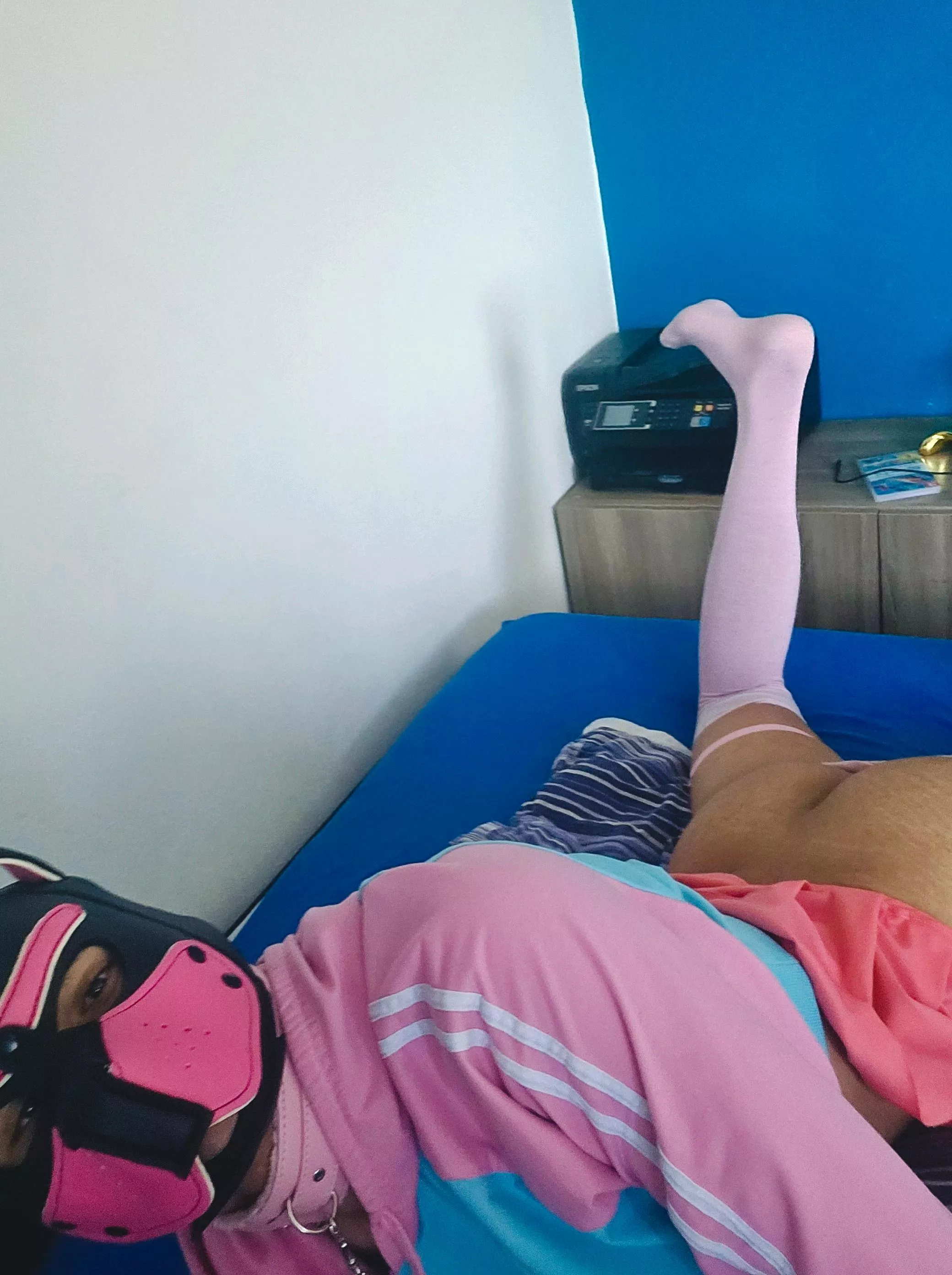 [21] Stray pup want to be a good boy