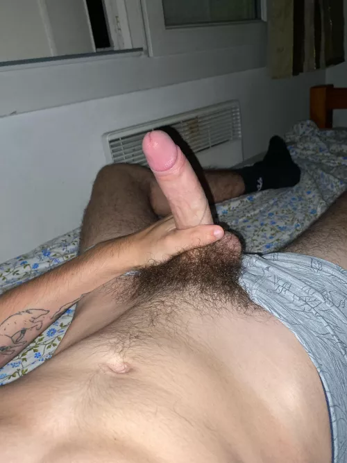 26 sc joho 2611 need some hairy bros