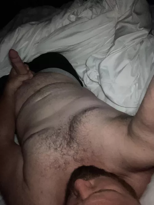 Hound on the hunt for a bitch in heat