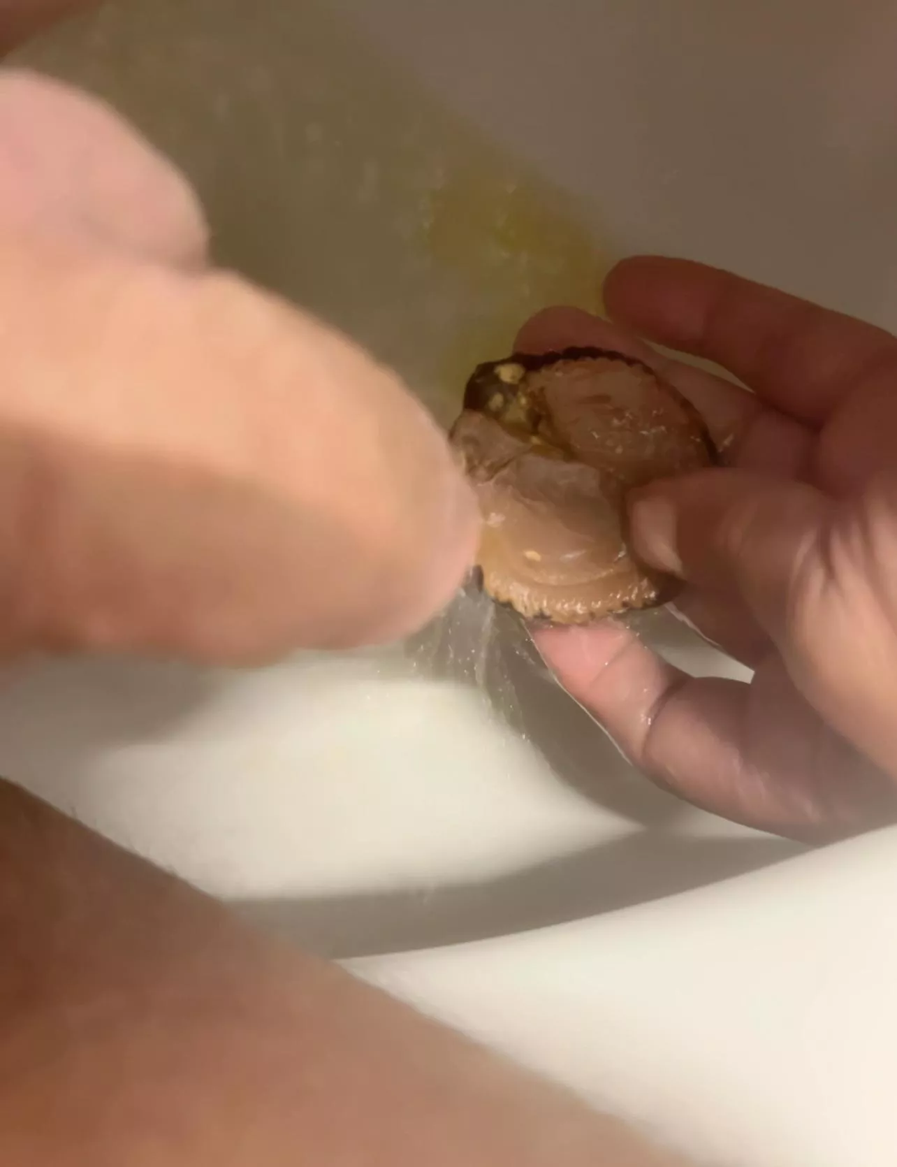 I piss on a Reese’s Piece’s Peanut Butter cup then eat it