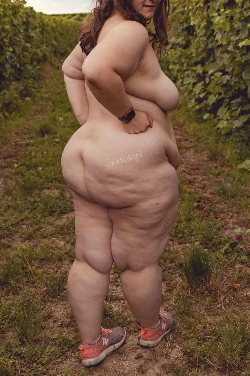 It’s wagon Wednesday again