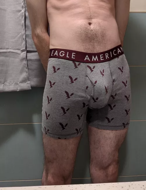 Just An Average Picture 