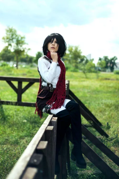 Mikasa Akkerman [Attack on Titan] (Nia)