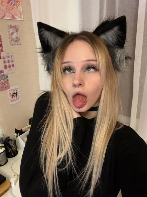 my application to be your fav kitty