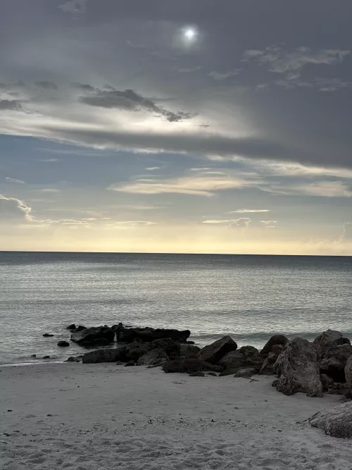 went on a beach walk  yesterday ❤️