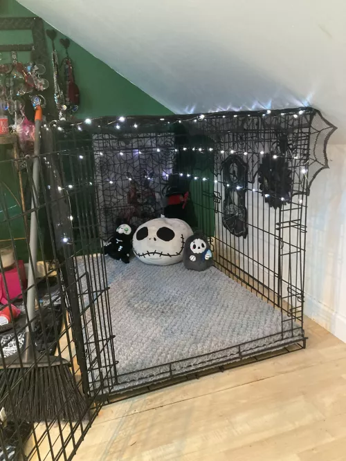 I need more cute ideas for my crate! :3
