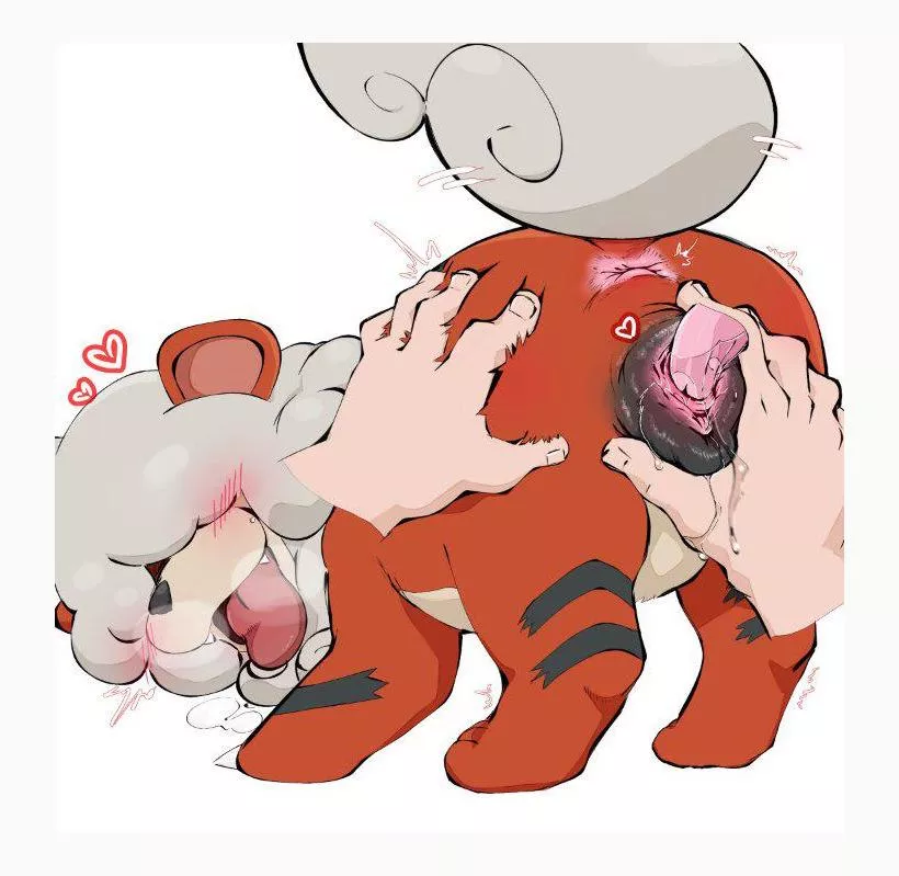 Licking the hisiian growlithe pussy! (aka leopard) [MF]