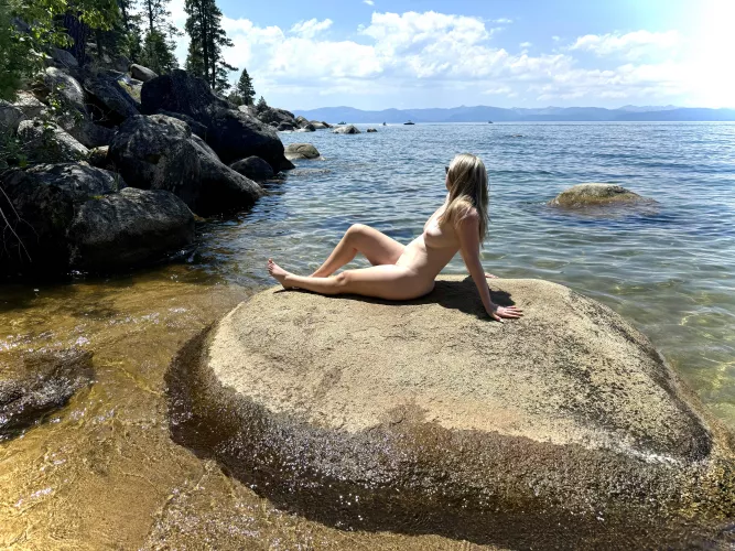 No better place to sunbathe 🌞