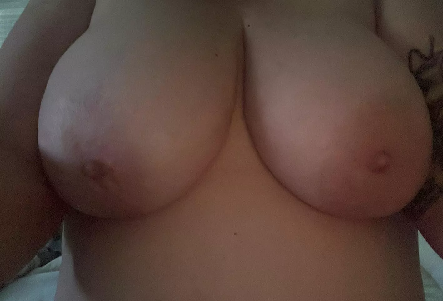 Who likes boobies?