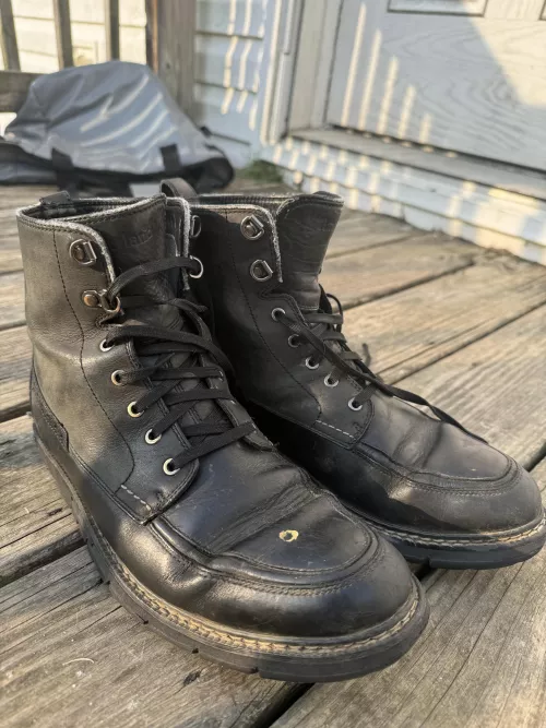 Anybody know what these are?