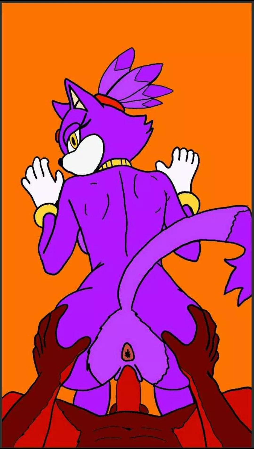 Blaze the cat 