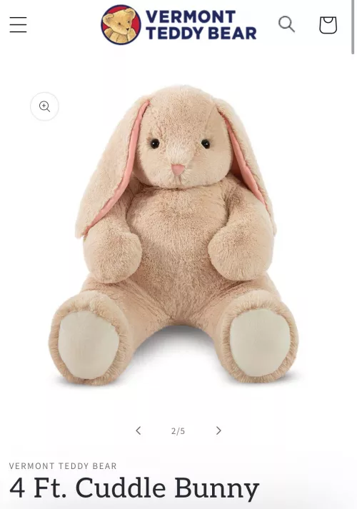 🐰✨ giant bunny ✨🐰