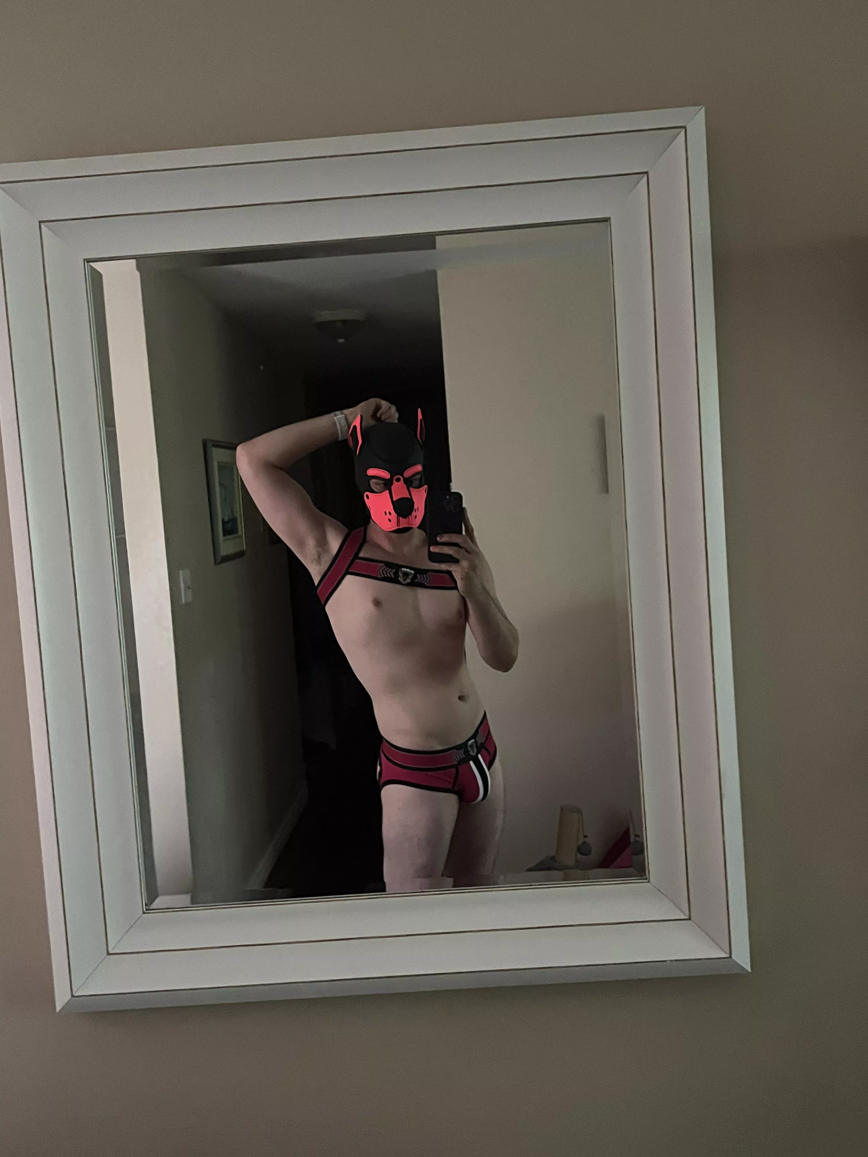 Happy Friday pups 🐾 