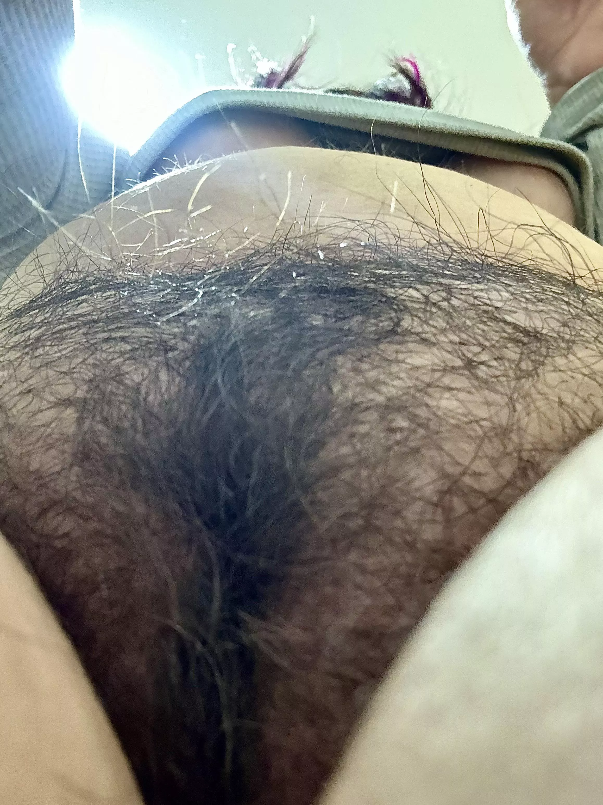 My bush is getting wild... should I leave it natural or should I trim it? 