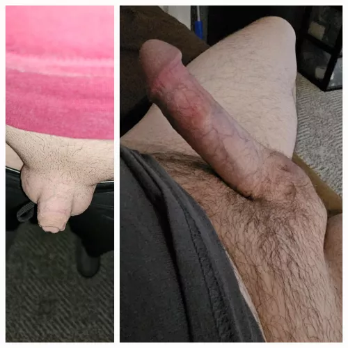 My other one got removed cuz it didnt grow enough. This one better?