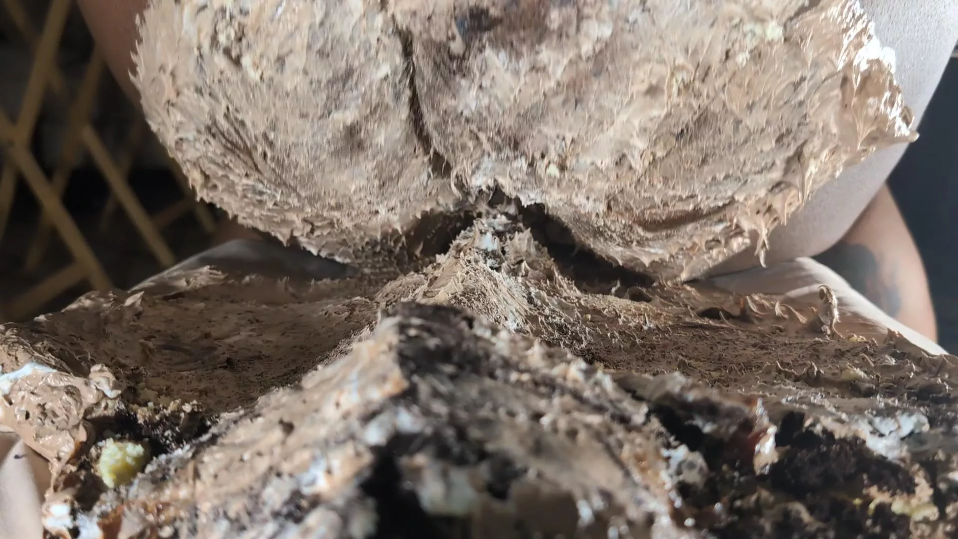 [oc] An image from my cake sitting video!