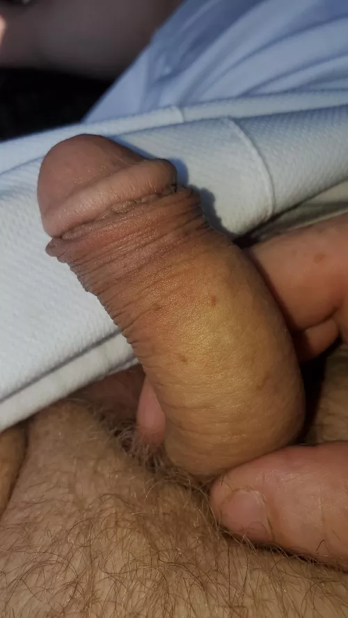 Wanna get it hard so I can cum? [40] 
