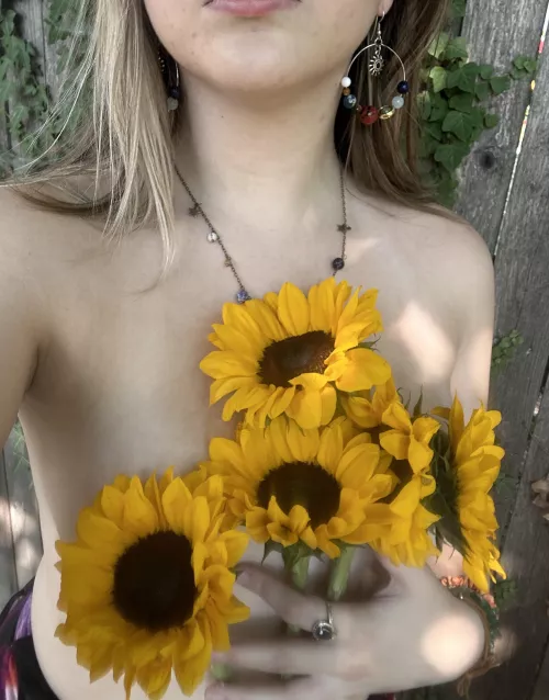 🌻🌻