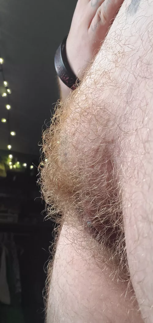 Hairy mound