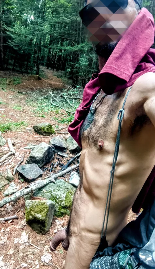 I need a hiking buddy. I love my walks alone but it'd be nice to have someone once in awhile 