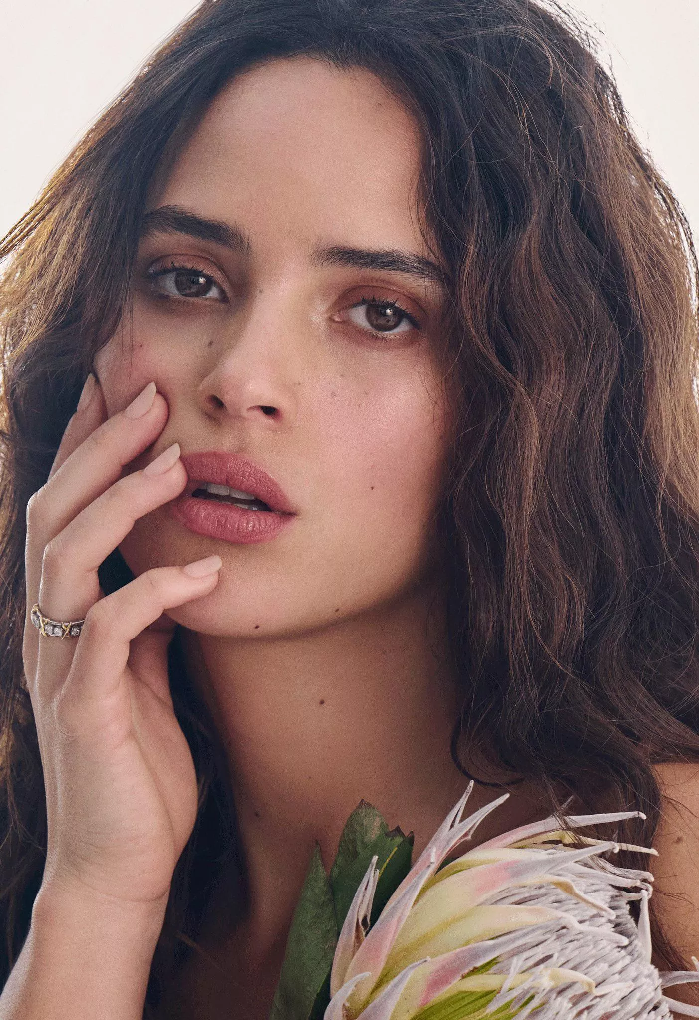 Want to edge for Adria Arjona