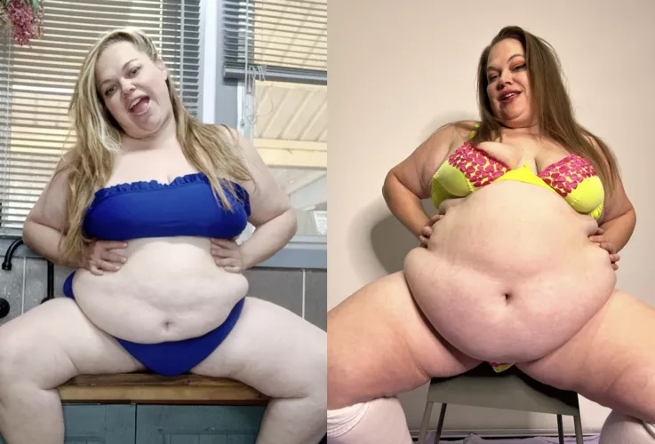 Which do you prefer blue or yellow 