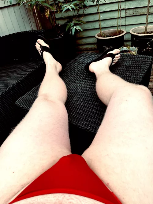 Who doesn’t love a nice morning in the garden?