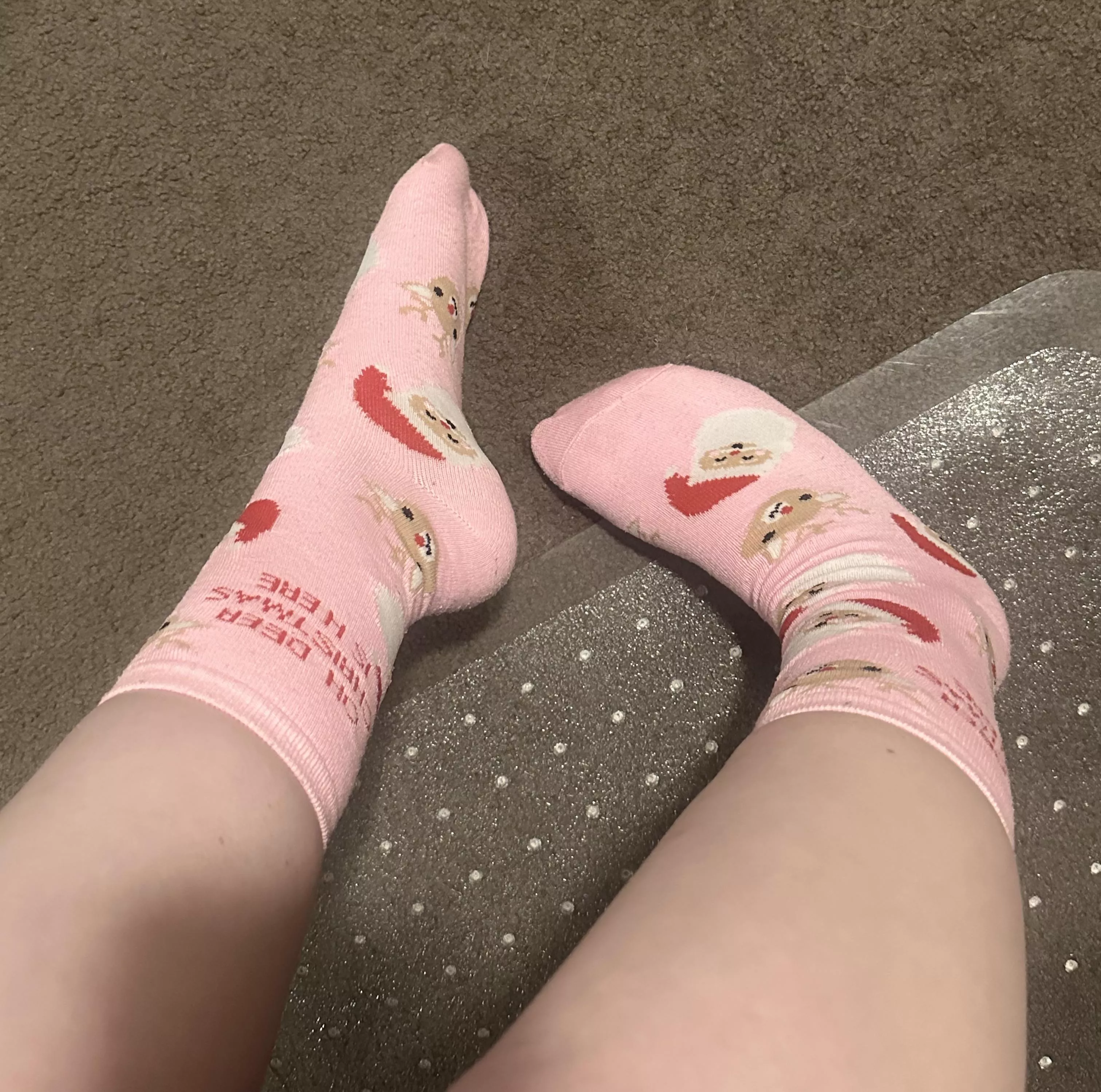 Christmas in July😻