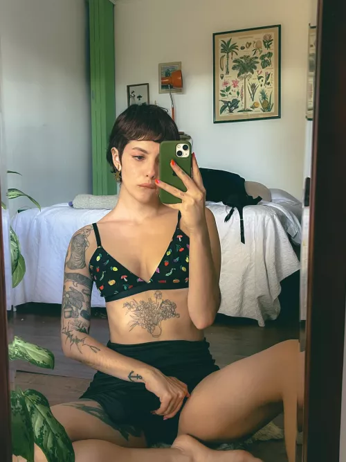 Come and see it up closer 