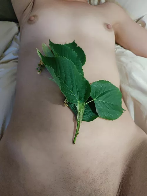 Come nibble my small tits